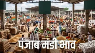पंजाब मंडी भाव। फोटो एआई की मदद से बनाई गई है