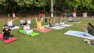 गांधी बाग में औषधीय पेड़ों के बीच में पार्क में योगाभ्यास करते आमजन। जागरण