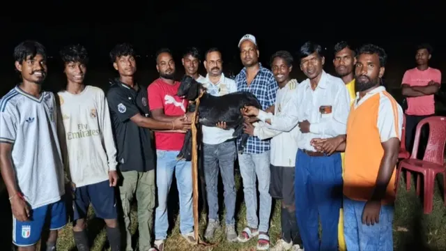झारखंड के अनूठे फुटबॉल का रोमांच: 'ट्रिपल खस्सी टूर्नामेंट' के फाइनल में बेंती ने बंगठिया को दी मात, मैदान पर उमड़ी भीड़
