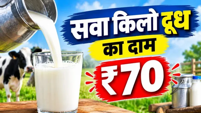 ₹2 की खातिर 2 घंटे का इम्तिहान! भागलपुर में दूध की सप्लाई 80% घटी; दूध हुआ महंगा, पनीर-मिठाई कम बन रहीं, दशहरे पर संकट
