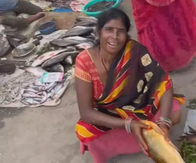 Katihar Fish Market Yellow Color Adulteration Health Risks (1)