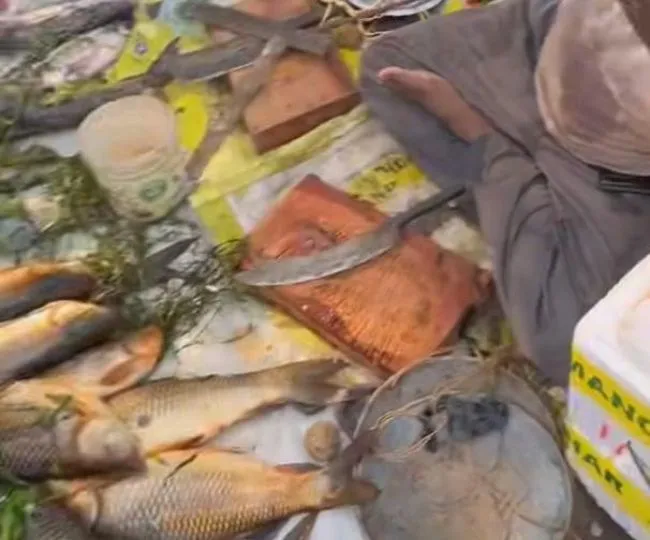 Katihar Fish Market Yellow Color Adulteration Health Risks (2)