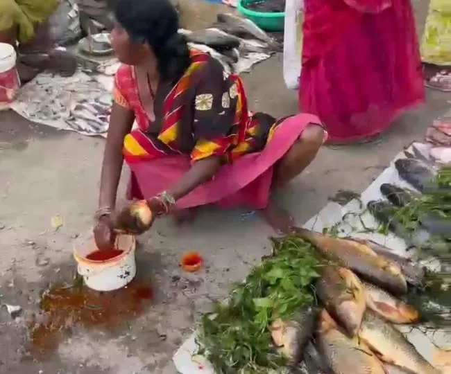 Katihar Fish Market Yellow Color Adulteration Health Risks (4)