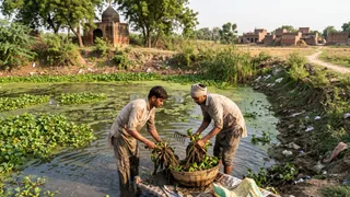 प्रतीकात्मक तस्वीर, एआई जेनरेटेड