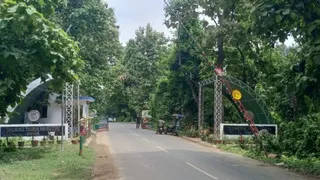 इस महीने शुरू होने वाले पर्यटन सत्र को लेकर वाल्मीकि टाइगर रिजर्व में तैयारी तेज।