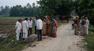 यह तस्वीर AI जेनेरेटेड है