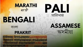 असमिया, बंगाली, पाली, मराठी और प्राकृत भाषाओं के लिए सेंटर ऑफ एक्सीलेंस को मंजूरी