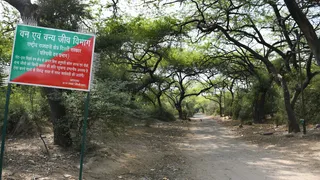दिल्ली रिज। आर्काइव