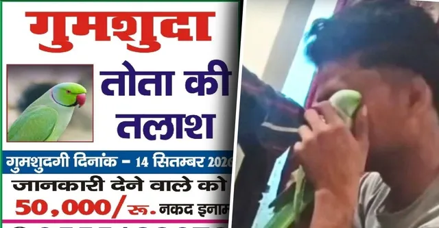 कन्नौज में पक्षी प्रेम की अनोखी मिसाल: लापता तोते के लिए मालिक ने लगाए होर्डिंग, खोजने पर 50 हजार और खबर देने पर 10 हजार इनाम
