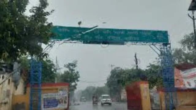 अलीगढ़: धान की बंपर आवक से पटी धनीपुर मंडी, एक दिन के लिए बंद रहेगा कारोबार