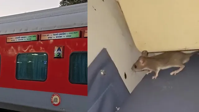 काकरोचों को मारने का स्प्रे, चूहों के सामने लाचार भारतीय रेलवे; फर्स्ट एसी तक में बेटिकट सफर