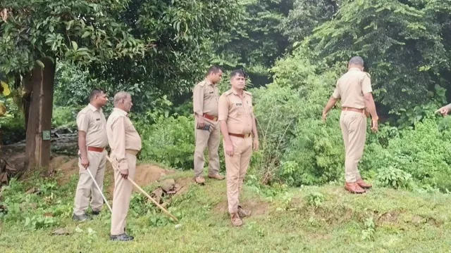 डेढ़ महीने बाद बाराबंकी में दिखा तेंदुआ, खेत से जंगल की ओर भागते वीडियो वायरल; वन विभाग ने लगाए ट्रैप कैमरे