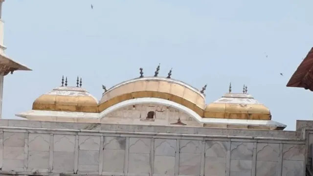 सोने की तरह दमक उठी आगरा किला में जहांआरा व रोशनआरा की छतरियां, ASI ने 12 लाख में कराया मडपैक-केमिकल ट्रीटमेंट