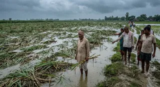 इस फोटो को AI के माध्यम से तैयार किया गया है।