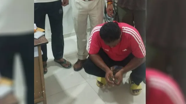 हांसी में मोबाइल हैक कर खाते से निकाले 68 हजार रुपये, महाराष्ट्र से आरोपी गिरफ्तार
