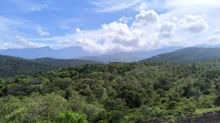 छत्तीसगढ़ की सीमा से लगा लांजी का हरा-भरा जंगल। (सौजन्य वन विभाग)