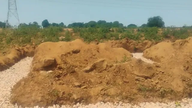 दिव्या मित्तल के वीडियो के बाद बनने लगा था मीरजापुर में स्कूल, अब वन विभाग ने लगाई रोक
