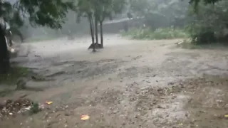 पूर्वांचल में बारिश और ओलावृष्टि का कहर, किसानों की फसलों को भारी नुकसान।