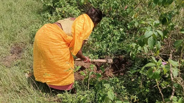 पश्चिमी सिंहभूम: एक सप्ताह के नवजात को मां ने गला दबाकर मारा, घर से 3 KM दूर दलदल में दफनाया शव
