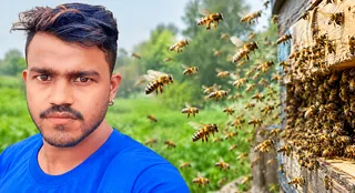 कई दिन पहले मधुमक्खियों ने किया था हमला, इलाज के दौरान रिंकू की मौत।