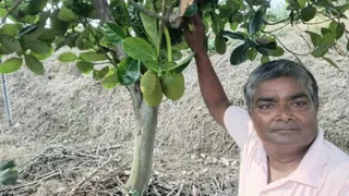 कटहल दिखाते गौतम कुमार। फाइल