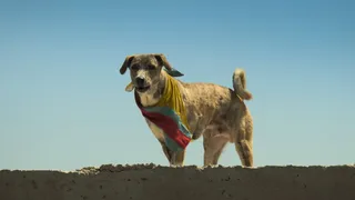ओटीटी पर आई ये फिल्म (फोटो क्रेडिट- स्क्रीन शॉट)