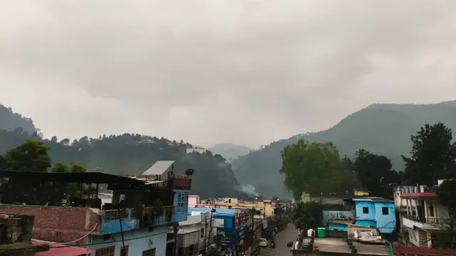 बागेश्वर में बारिश से धान-घास की कटाई प्रभावित, किसानों की बढ़ी मुश्किल