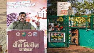 मुख्यमंत्री डॉ. मोहन यादव ने क्वारंटाइन बाड़े में चीतों को मुक्त किया। (सौजन्य- जनसंपर्क)