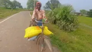 सांकेतिक तस्वीर।