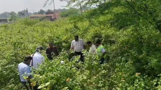 मिट्टी की जांच करती अधिकारियों की संयुक्त टीम। (सौजन्य जनसंपर्क विभाग)