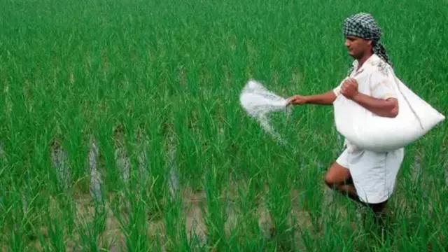 मुजफ्फरपुर में किसानों को डीएपी देने में मनमानी पड़ी भारी, कृषि विभाग ने खाद एजेंसी का लाइसेंस किया रद