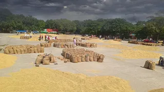 हरियाणा में आज से बारिश की आशंका (जागरण फोटो)