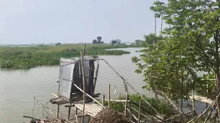मधेपुरा के चौसा में कोसी नदी के जलजमाव के बीच बांस और चचरी के सहारे बनाया गया जुगाड़ का अस्थाई शौचालय