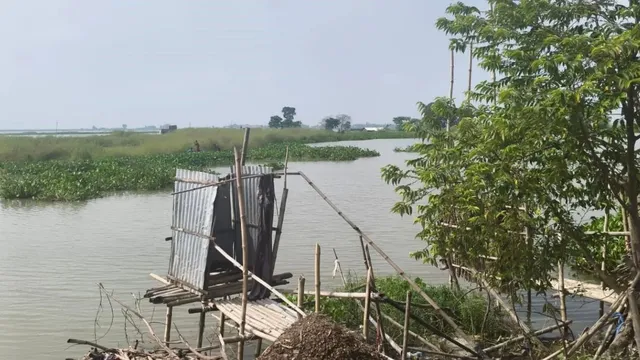 बाढ़ का पानी उतरा, संकट नहीं! मधेपुरा के चौसा में महिलाओं को बांस के जुगाड़ शौचालय का सहारा, खतरा बरकरार
