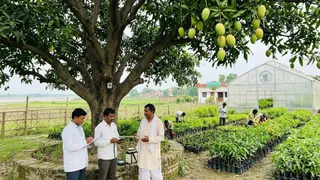 एआई द्वारा जेनरेट इमेज।