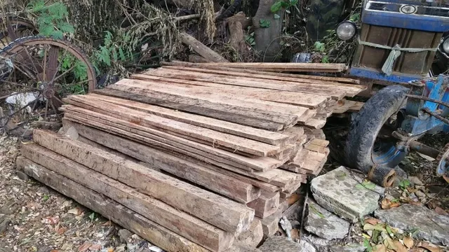 मुंगेर में रात के अंधेरे में लकड़ी का खेल! वन विभाग की दबिश में घर से 89 तख्ते व 25 चकोर बरामद, खुला राज
