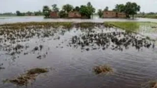 इसमें प्रतीकात्मक तस्वीर लगाई गई है।