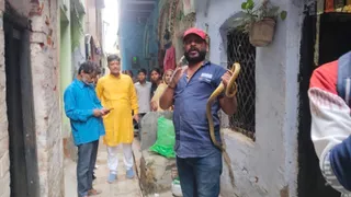 वाराणसी के चौक में घर में घुसे 4.30 फीट लंबे सांप को सर्प मित्र ने पकड़ा।