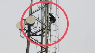 बागपत में टावर पर चढ़ा युवक।