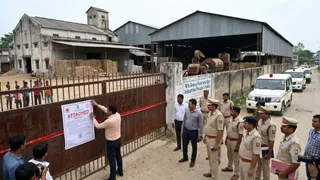 धान घोटाले में ईडी की बड़ी कार्रवाई, राइस मिल संचालक की करोड़ों की संपत्ति जब्त (AI Generated Image)