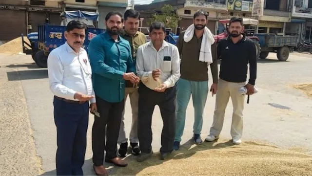 किसानों के खाते में आएंगे ₹600 प्रति क्विंटल, बल्लभगढ़ मंडी में शुरू हुई बाजरे की सरकारी खरीद
