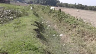 पूर्णिया के डगरूआ में पानी के अभाव में सूखी पड़ी हरखेली नहर