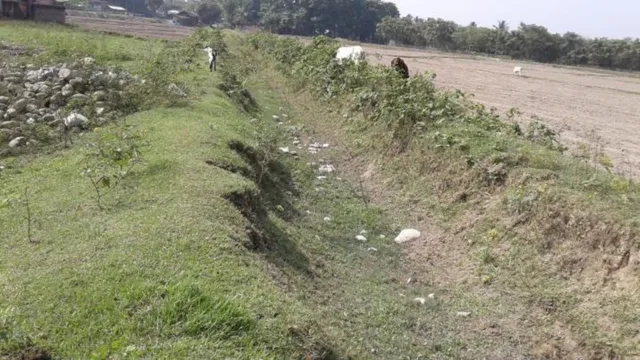 खुदाई हुई, नहर बनी, पर पानी नसीब नहीं! पूर्णिया के डगरूआ में हरखेली नहर सूखी, महंगे डीजल पंप से सिंचाई को मजबूर किसान
