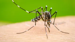 जम्मू जिले के बाद इस बार डोडा जिला सबसे अधिक प्रभावित। (फाइल फोटो)