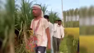 ट्यूबवेल तार चोरी करते पकड़ा गया युवक। सांकेतिक फोटो