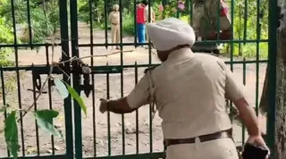 पीर मुच्छल्ला के नेचर पार्क में मिला गर्दन कटा शव।