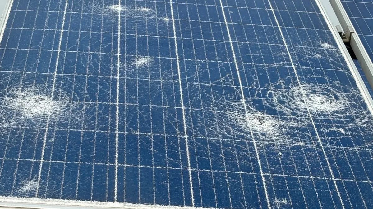 80997038