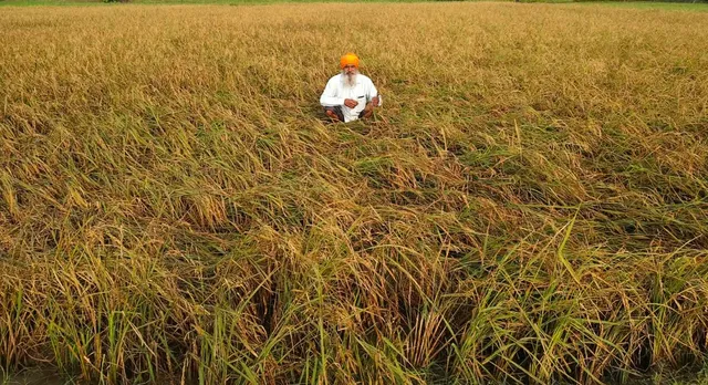 उत्तराखंड में अक्टूबर में ही कड़ाके की ठंड, पश्चिमी विक्षोभ से खरीफ फसलों पर संकट