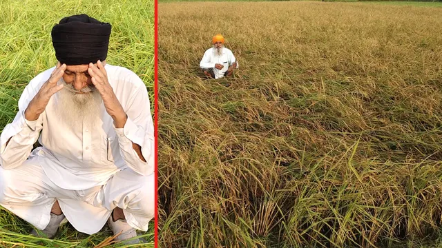 उत्तराखंड में आसमान से बरसी आफत: फसलें चौपट, खेतों की हालत देख आंसू नहीं रोक पाए किसान