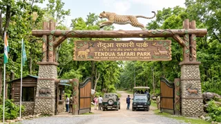 पीलीभीत में प्रस्तावित लेपर्ड सफारी पार्क का काल्पनिक द्वार। स्रोत: विभाग